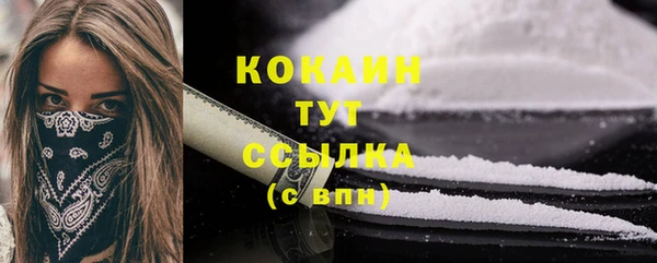 дмт Богданович