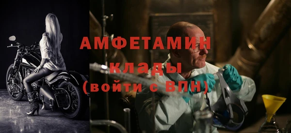 дмт Богданович