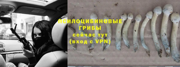гидропоника Богородск