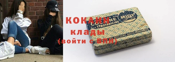 дмт Богданович