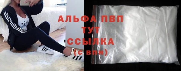дмт Богданович
