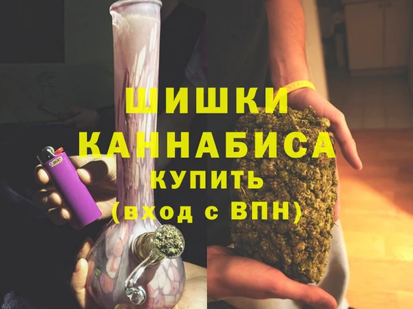 дмт Богданович