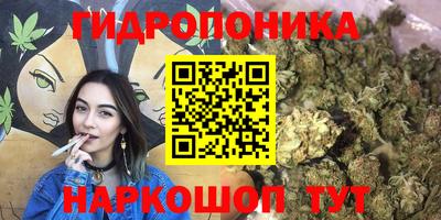 круглые Бузулук