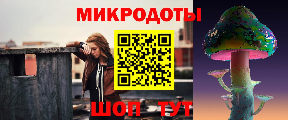 Псилоцибиновые грибы Psilocybine cubensis Минеральные Воды